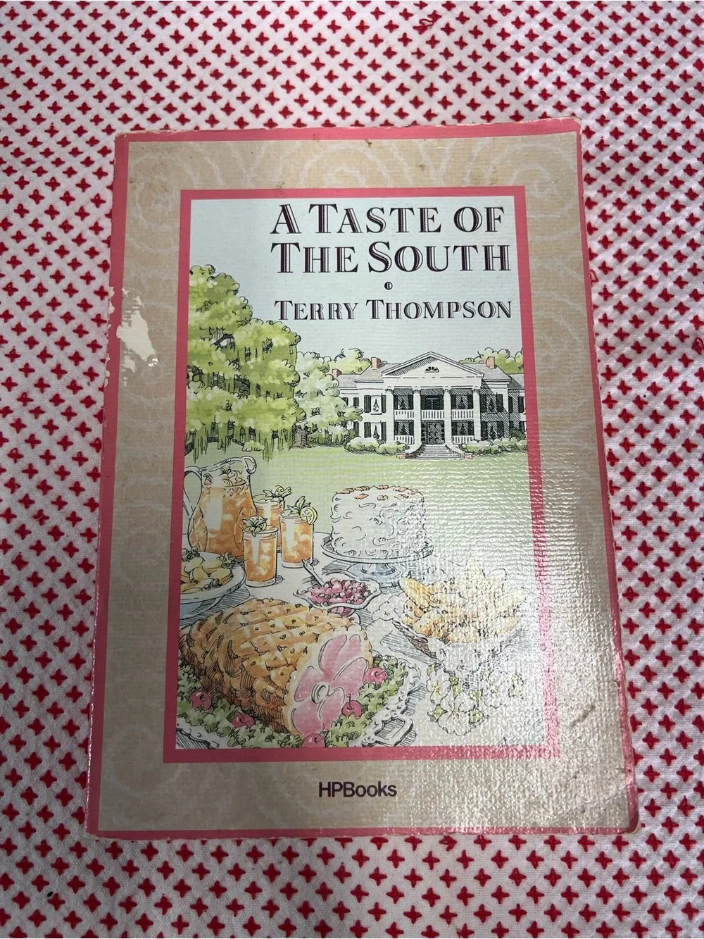 Vintage A Taste Of The South cookbook terry thompson 1988 recipes